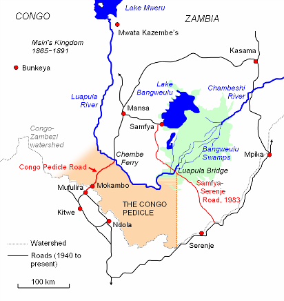 Congo Pedicle