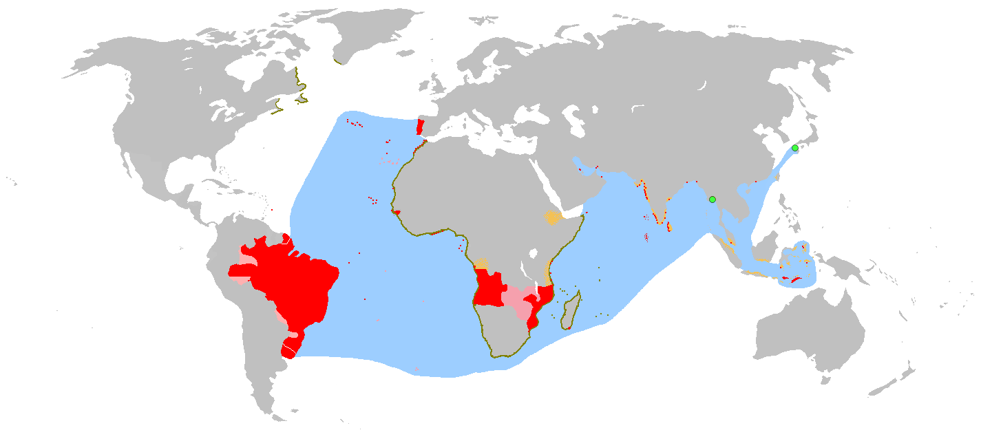 Pink Map